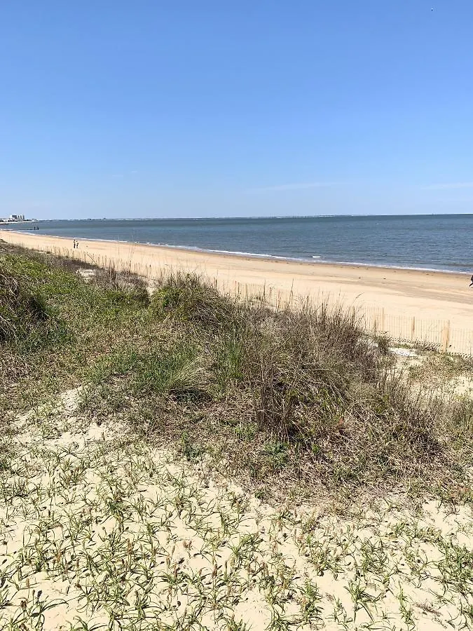 Beach Side Studio #4 Apts North Camellia Acres 0*,