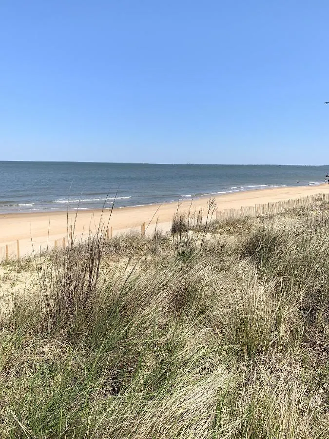 Beach Side Studio #4 Apts North Camellia Acres